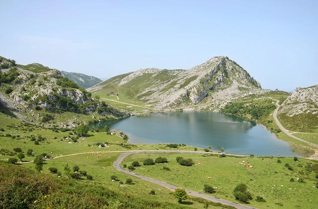 Twitter Statistics: A Comprehensive Overview